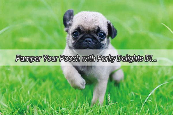 Pamper Your Pooch with Porky Delights DIY Dog Snacks Thatll Have Them Begging for More